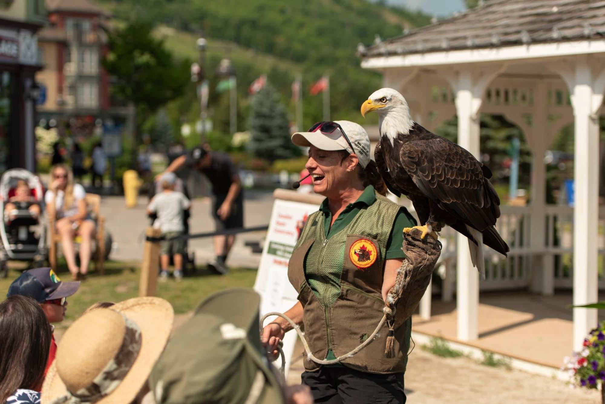 Blue Mountain Resort Inn บลูเมาเทนส์ ภายนอก รูปภาพ